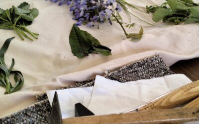 Ateliers pour seniors – Printemps 26